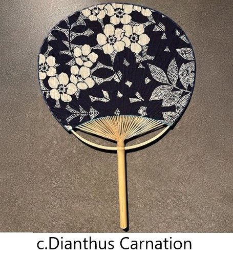 Sankatsu Crafted Yukata Fabric Boshu Uchiwa Fan
