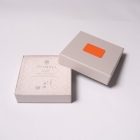DOMYO KUMIHIMO Bracelet – Korai-gumi – Gold & Silver